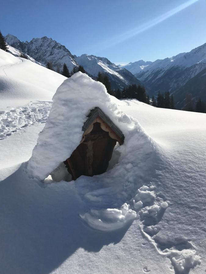 Alpindesign Kaunertal Oda fotoğraf